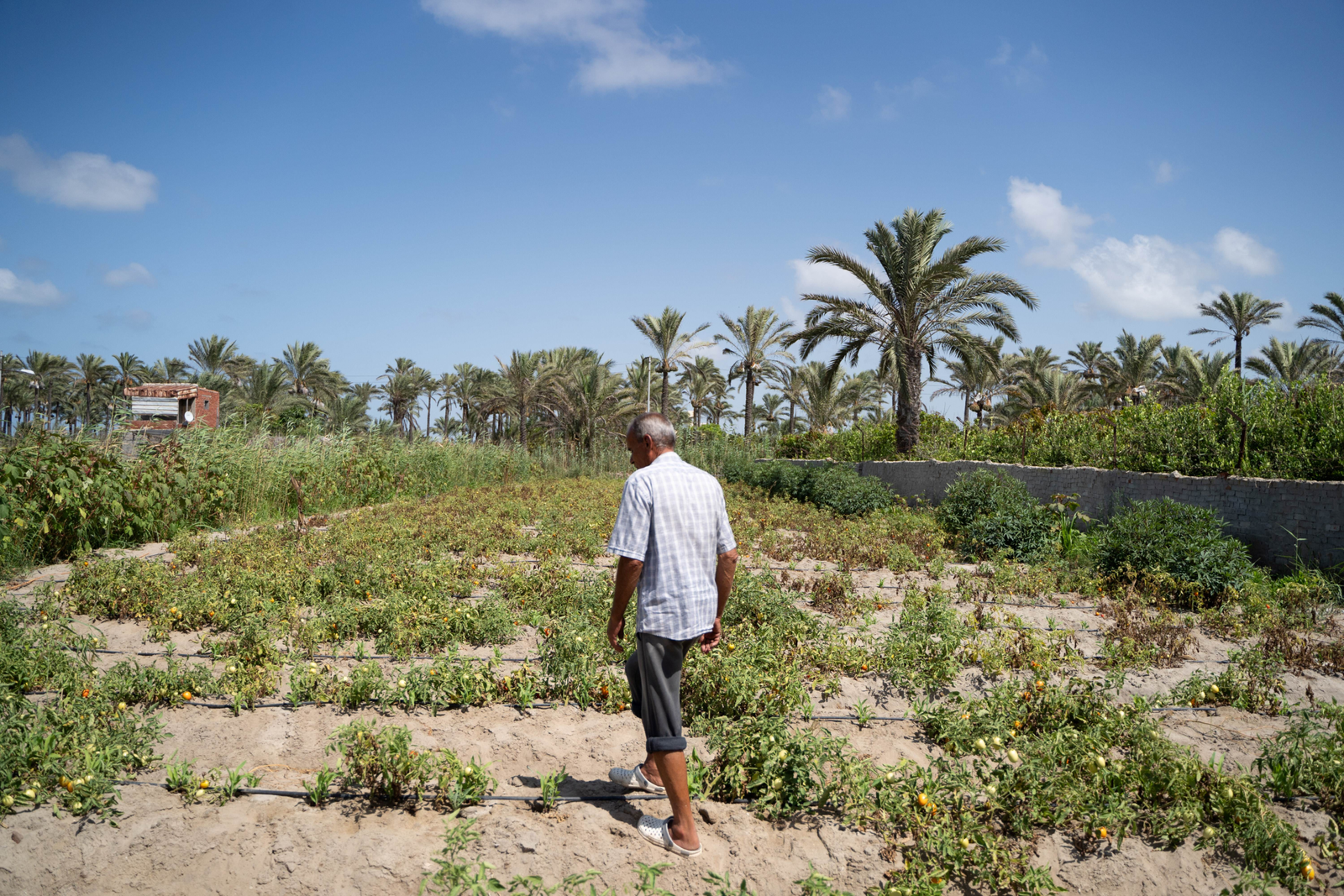 Dredged Material Placement to Support Sustainable Shoreline Management in the Nile Delta, 2015