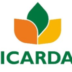 University of Cologne, Germany